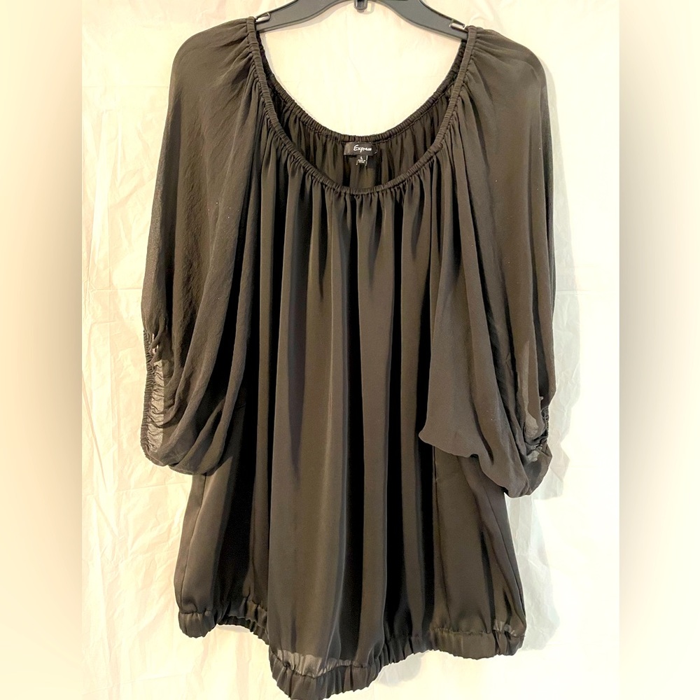 Express sheer top L